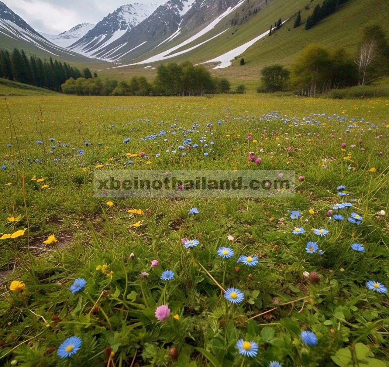 Penyemaian Ulang Buatan Mempromosikan Pemulihan Keanekaragaman Hayati di Padang Rumput Alpen Berpasir di Dataran Tinggi Qinghai-Tibet Timur