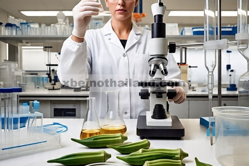 Mengungkap keragaman genetik, kandungan asam lemak minyak biji dan aktivitas antioksidan pada berbagai populasi okra ( Abelmoschus esculentus (L.) Moench)