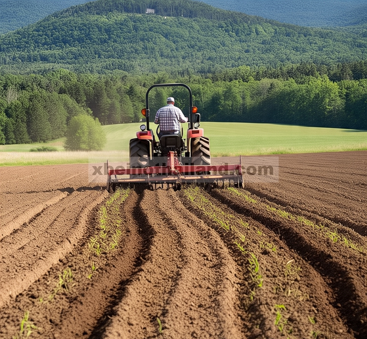 Penanaman rumput dan bajak keyline sebagai strategi untuk mengurangi pemadatan tanah liat di Vermont