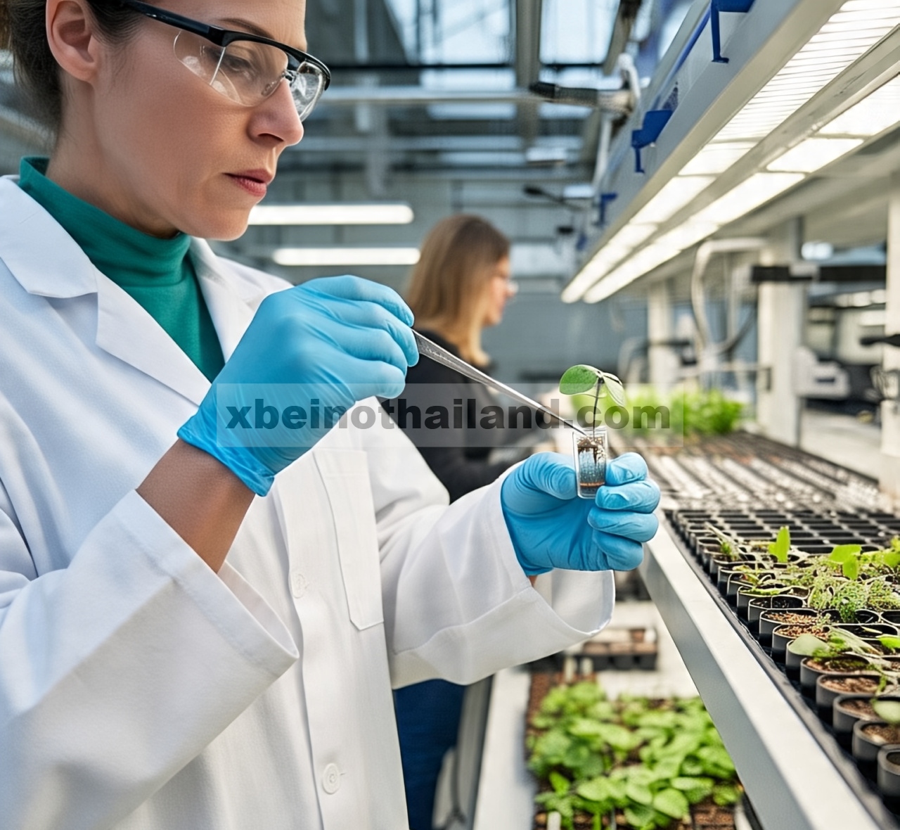 Penginderaan Non-destruktif Bahan Kimia yang Berasal dari Tumbuhan: Biomarker, Bahan Kimia Pertanian, dan Polutan