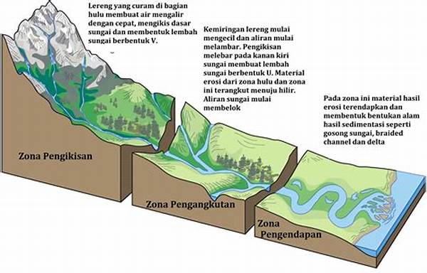 Sedimentasi