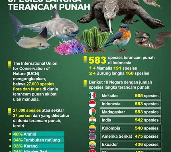 Spesies Langka