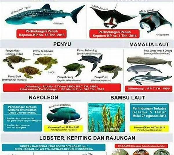 Spesies Laut Dilindungi
