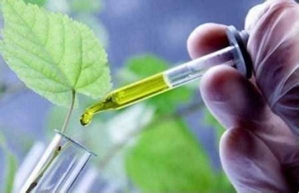 Bioteknologi Lingkungan