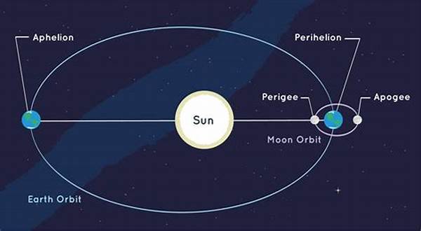 Orbit